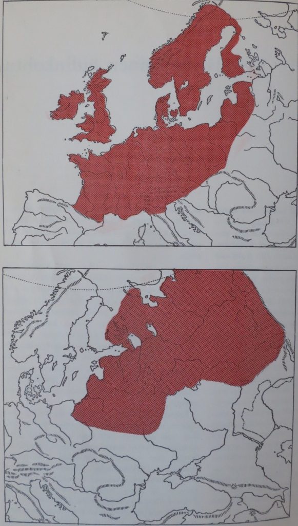 Sauna and bathing in global history – Global History Lab